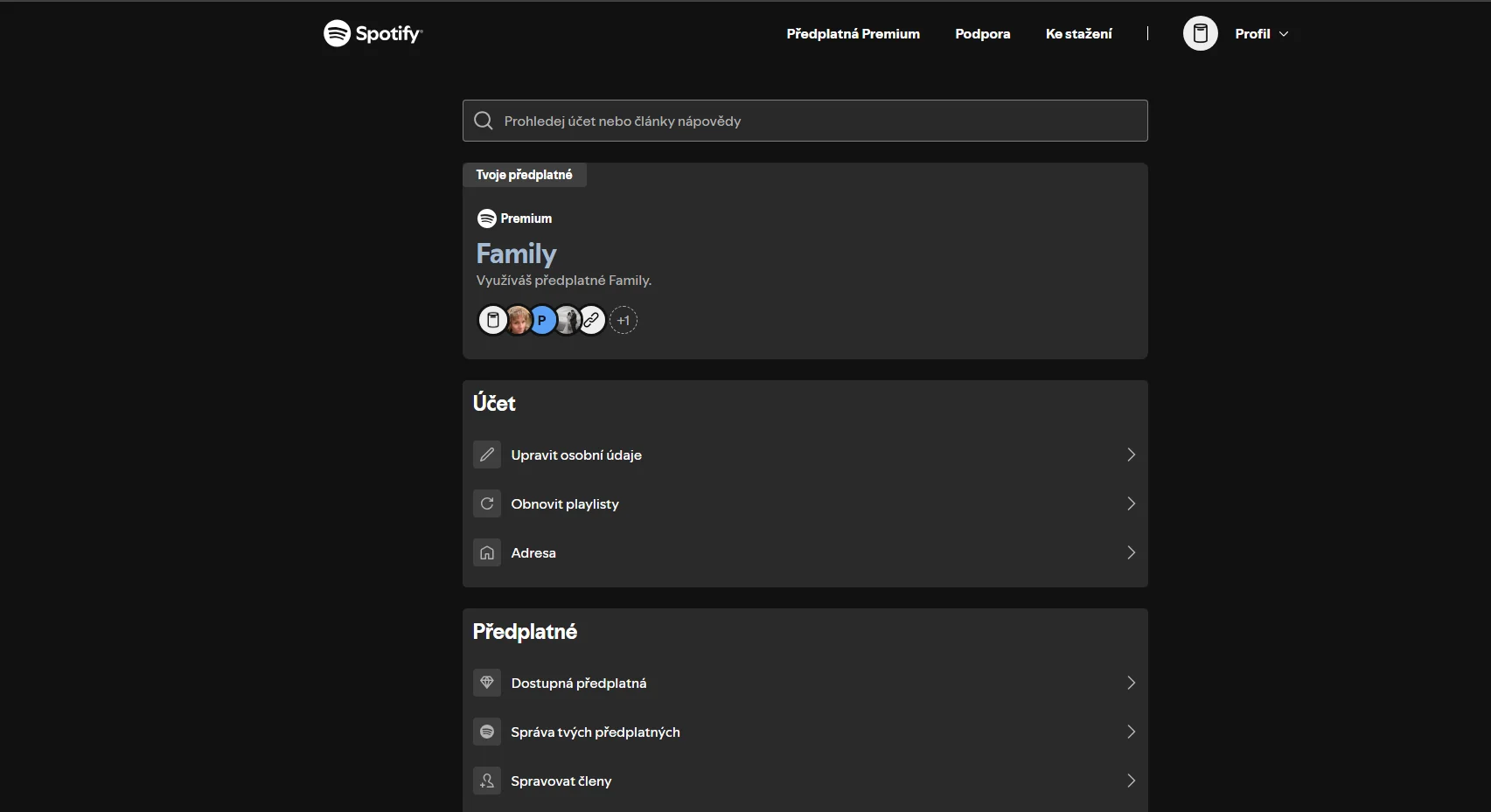 Spotify Lifetime Account - Image 2